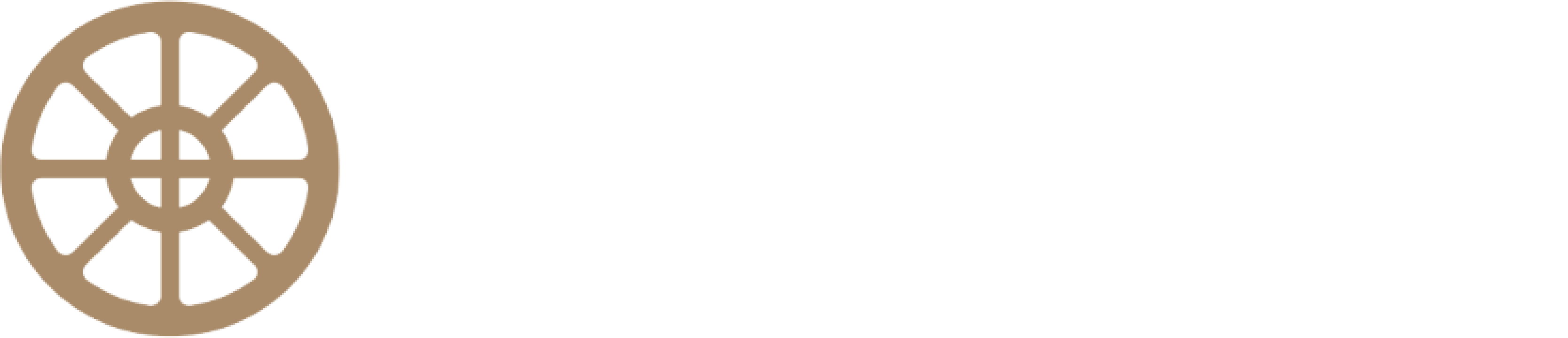 Steppe Holding